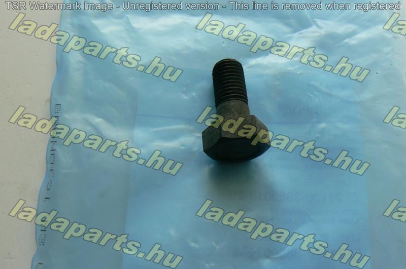 lendkerék csavar M10x1,25x 23,50