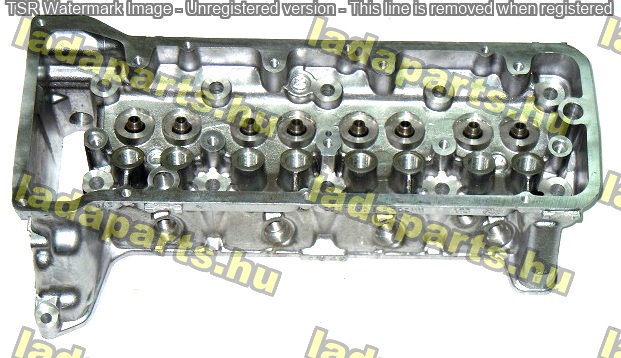 Niva  Hengerfej / régi típusú befecskendezős /