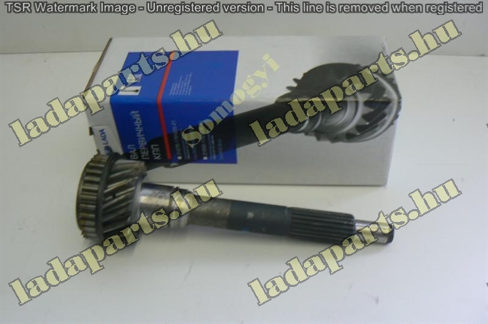 nyelestengely 17 fogas