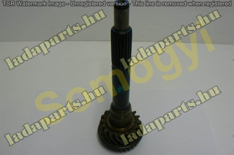 nyelestengely 18 fogas gyári